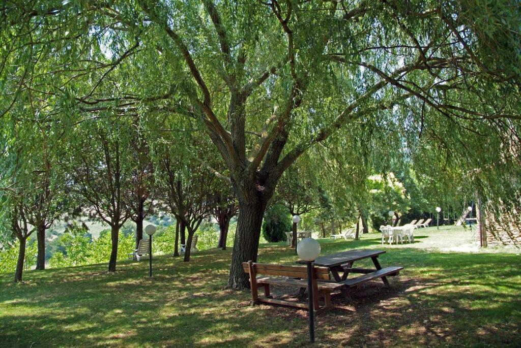 Вілла Agriturismo Nizzi Ассізі Екстер'єр фото