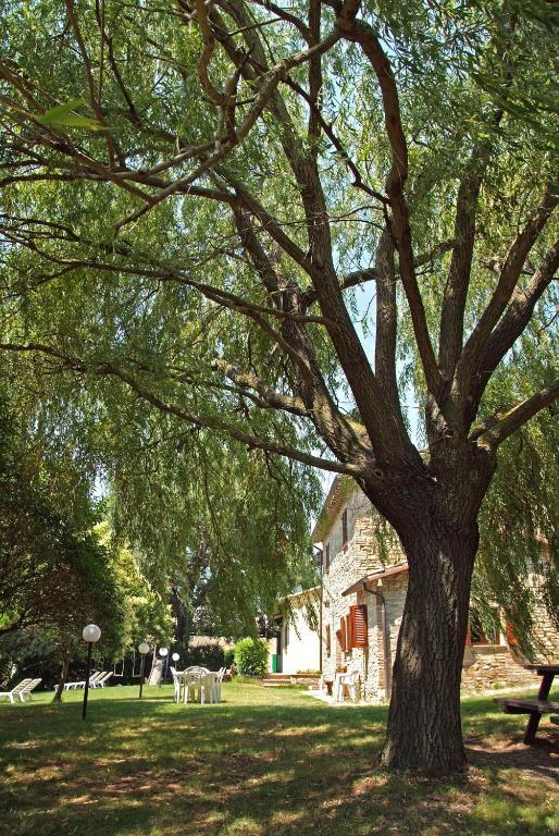 Вілла Agriturismo Nizzi Ассізі Екстер'єр фото